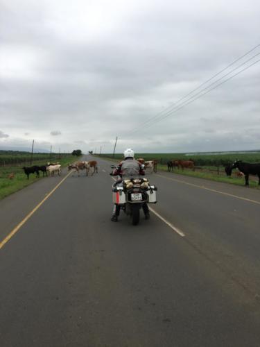 Motorradtour-Küstentour-Südafrika035