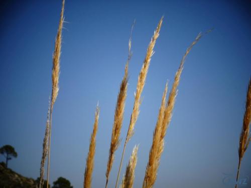 mwz-andalusien-044
