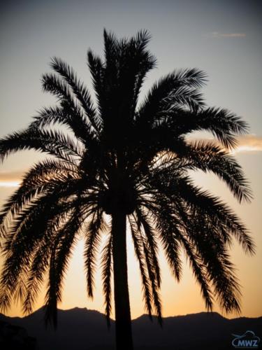 mwz-andalusien-045
