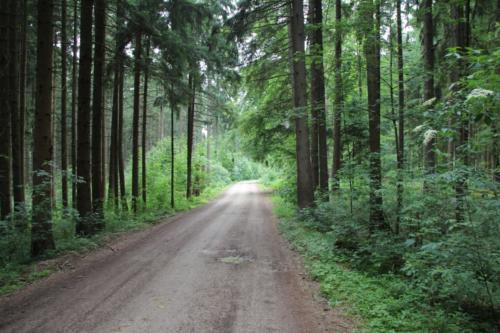 mwz-motorradtraining-im-realverkehr2012-102